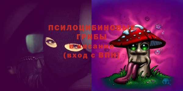 молекула духа Бугульма
