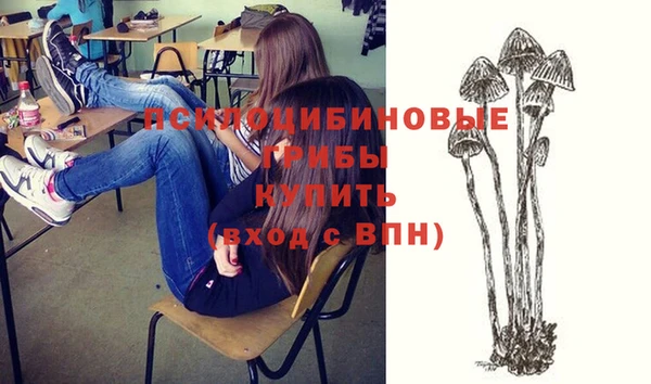 твердый Бронницы