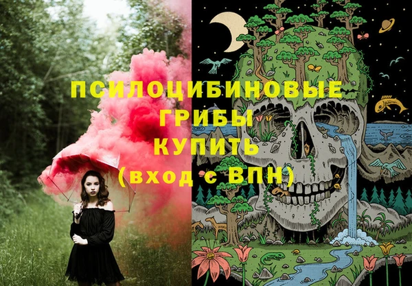 молекула духа Бугульма
