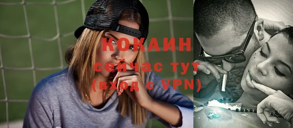 твердый Бронницы