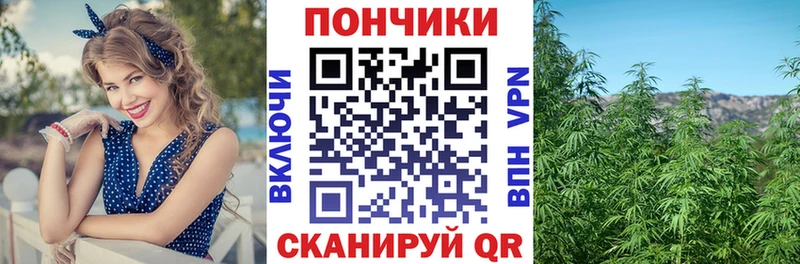 хочу наркоту  Вязники  Канабис Ganja 